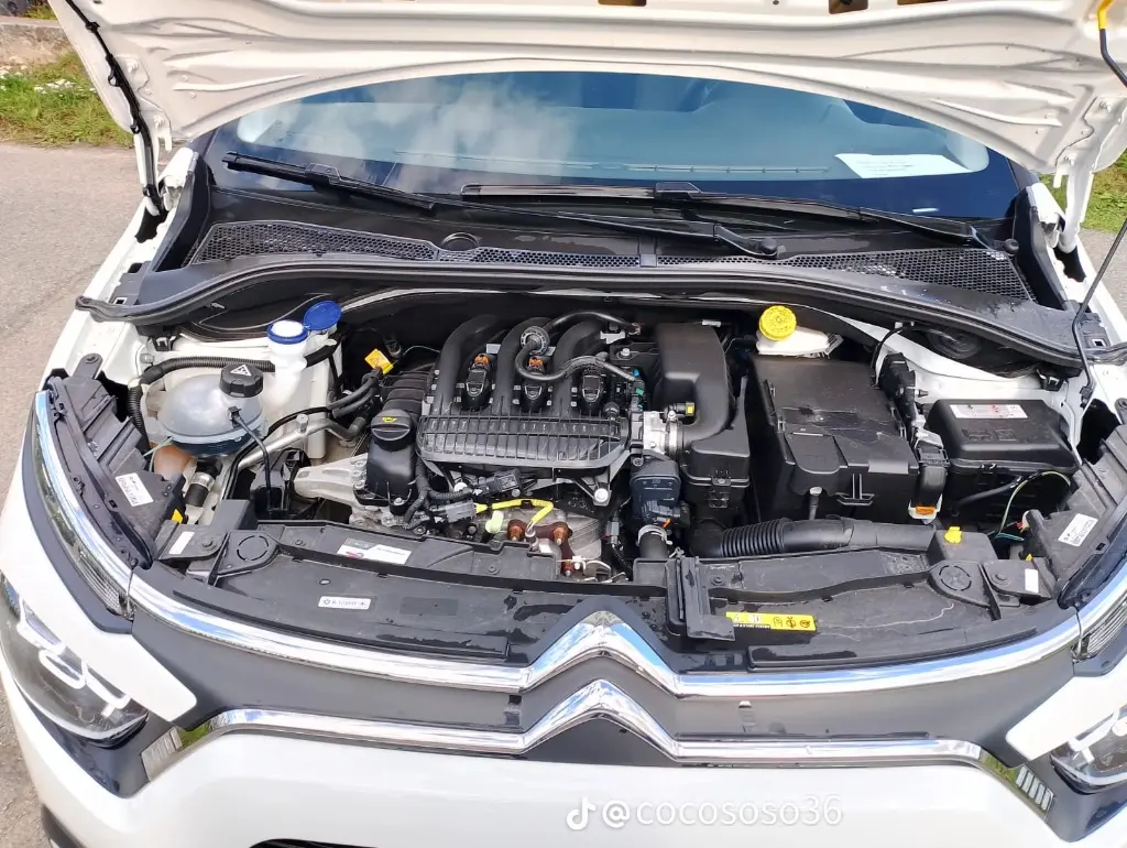 WhatsApp Image 2025-09-22 at 13.41.42 (6).webp